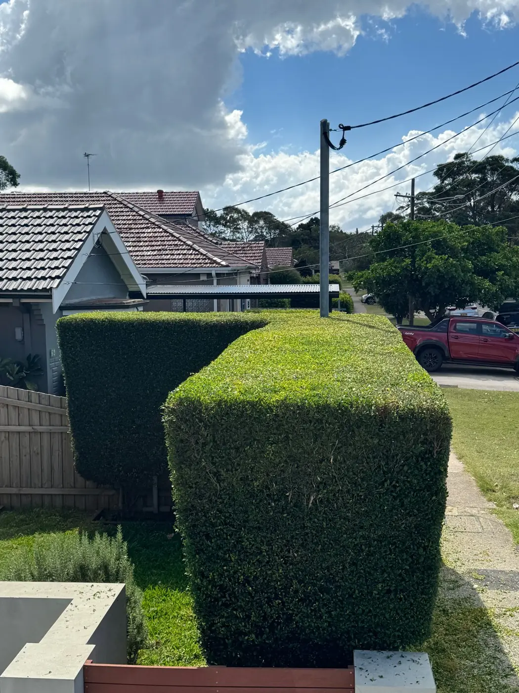 Neatly squared hedge in a front yard