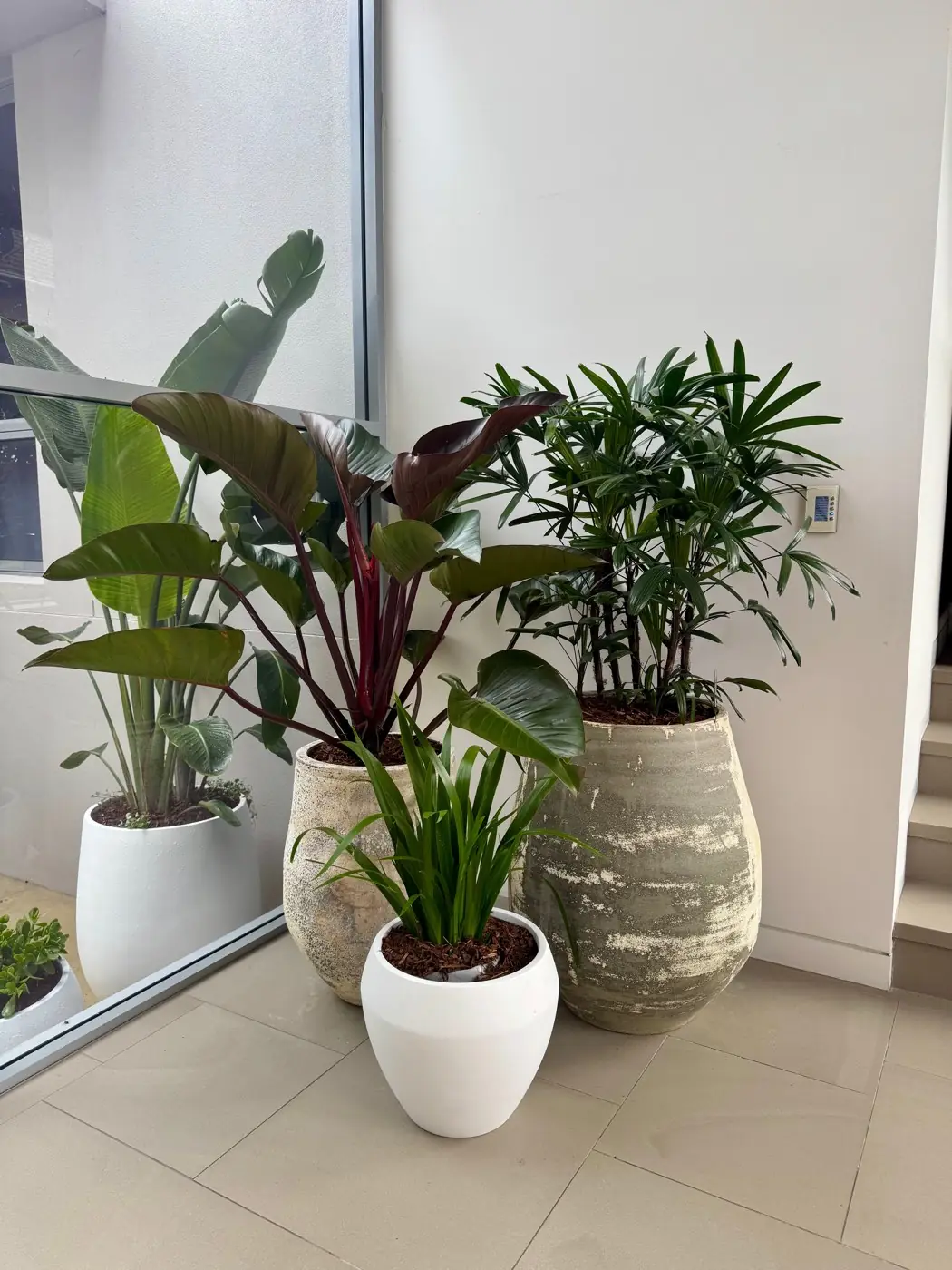 Styled indoor plants in white and stone-look pots