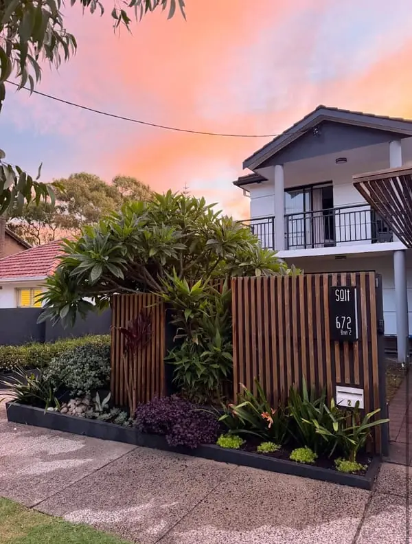 Front garden after: new planting along the timber slat fence at sunset
