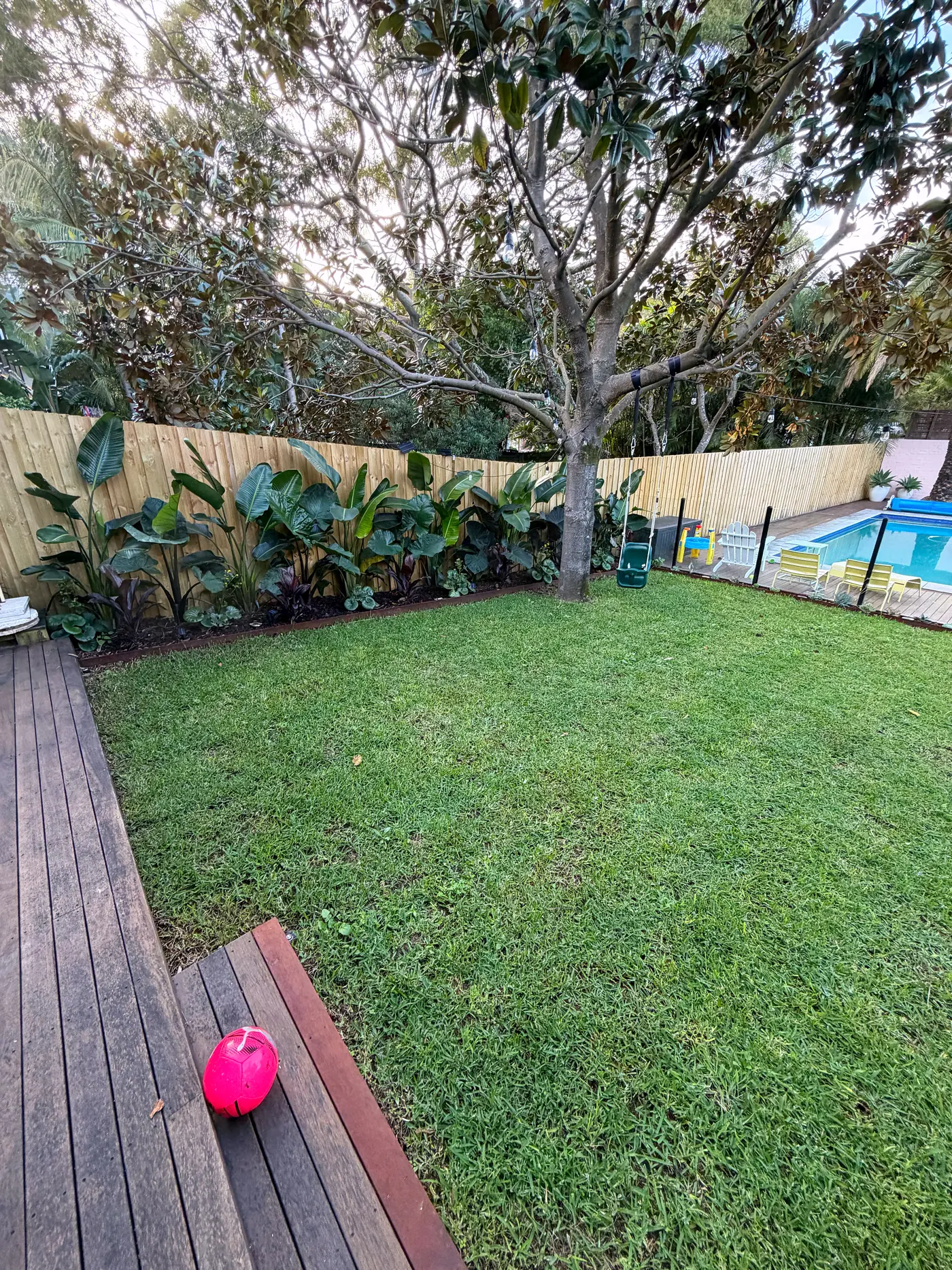 Lush lawn and tropical garden border kept green with irrigation